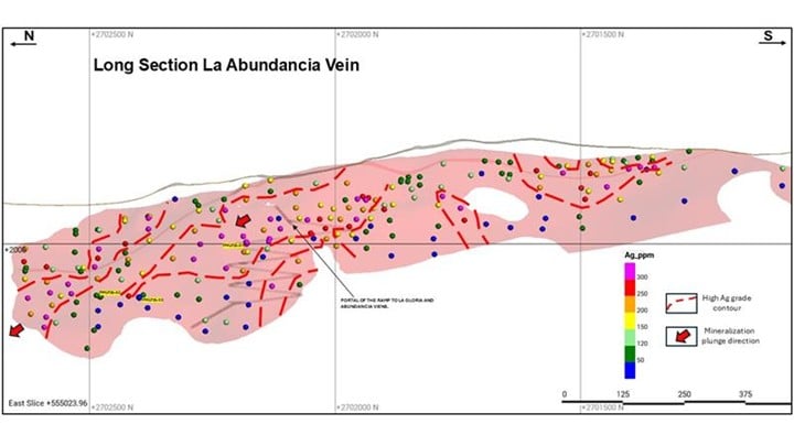 Avino Silver & Gold Mines perfora 1.638 g/t de plata en 7,90 metros, incluyendo 15.352 g/t de plata en 0,37 metros en La Preciosa