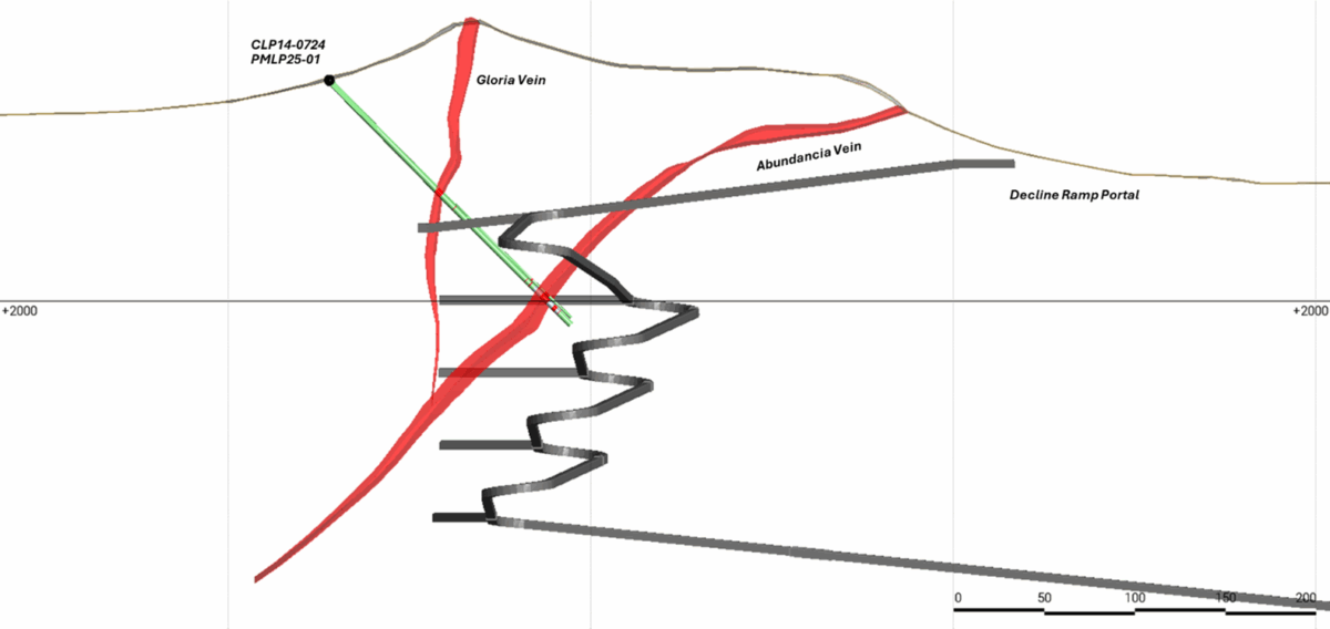 Avino Silver & Gold Mines perfora 1.638 g/t de plata en 7,90 metros, incluyendo 15.352 g/t de plata en 0,37 metros en La Preciosa