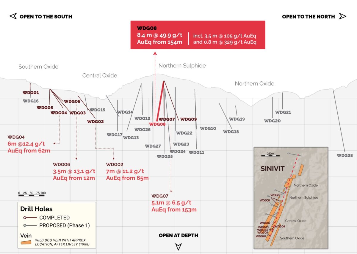 8,4 metros a 50 g/t AuEq perforados en el proyecto Wild Dog de Great Pacific Gold 8,4 metros a 50 g/t AuEq perforados en el proyecto Wild Dog de Great Pacific Gold