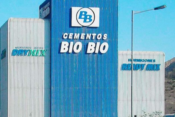Carmeuse logra meta para declarar exitosa la OPA por Cementos Bío Bío