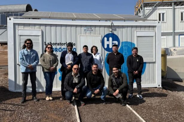 Participantes del primer curso de seguridad en plantas de H₂V realizan jornada práctica en Antofagasta