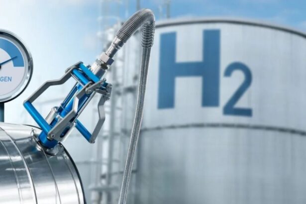 Hidrógeno de bajas emisiones: la falta de demanda frena nuevas inversiones