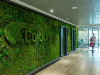 Colbún avanza hacia la carbono neutralidad con proveedores clave al 2050