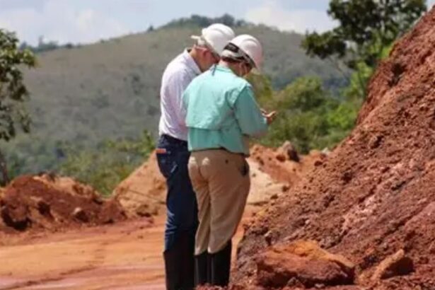 Brazilian Rare Earths inicia planta piloto en Bahia de tierras raras