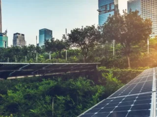 Premio a la Sostenibilidad Empresarial: Empresas destacadas en criterios ASG