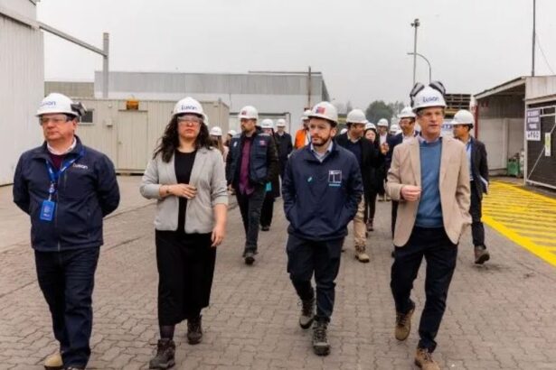 CGE y Tusan lideran la revolución verde en distribución eléctrica