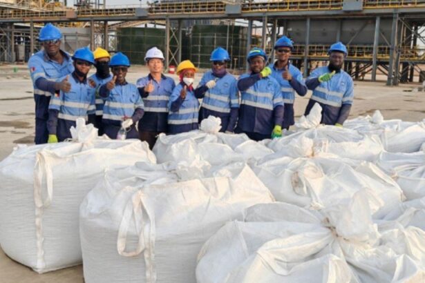 Kodal Minerals recibe permiso de exportación para litio en Malí