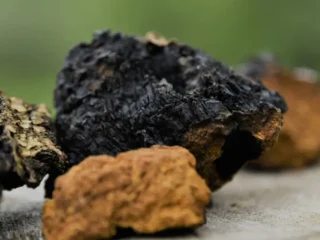 Importaciones chilenas de tierras raras chinas cayeron en agosto