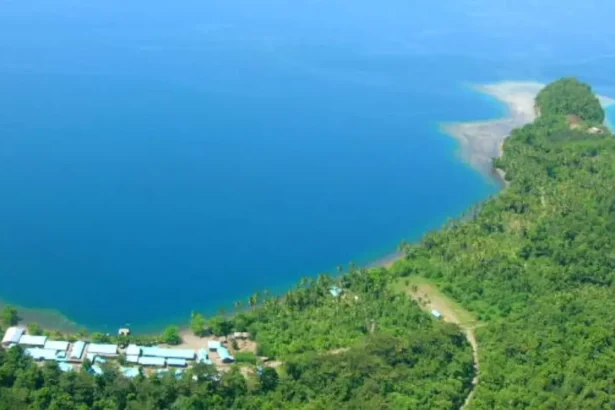 Indonesia cita falta de permisos forestales en confiscaciones de tierras a mineros de níquel