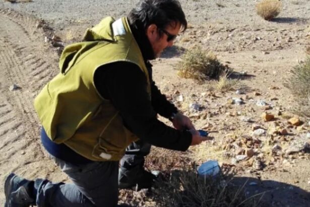 Argentina: Battery Age Minerals identifica anomalías de oro y plata a escala kilométrica en el proyecto El Aguila