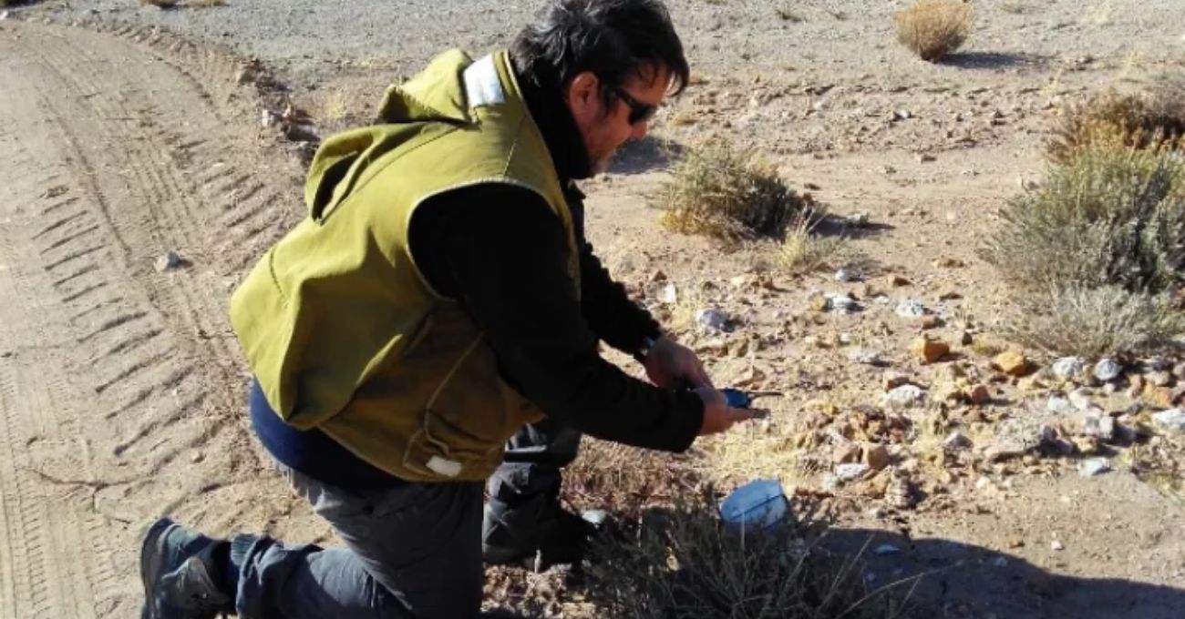 Argentina: Battery Age Minerals identifica anomalías de oro y plata a escala kilométrica en el proyecto El Aguila