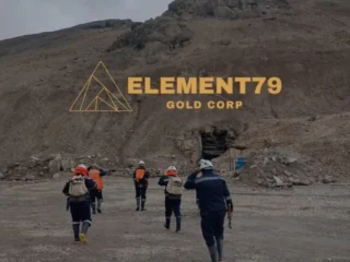 Element79 Gold nombra a Mohammad Fazil como nuevo director destacado