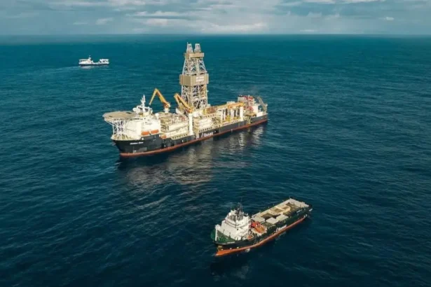 Tratado de Alta Mar: Oposición mundial a la minería submarina en cumbre climática