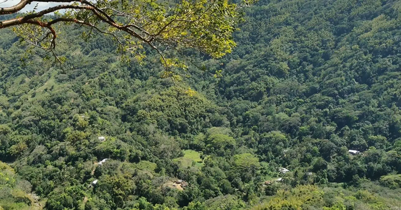 C3 Metals intercepta amplias zonas de mineralización de oro en los primeros pozos de perforación en el proyecto Super Block, Jamaica