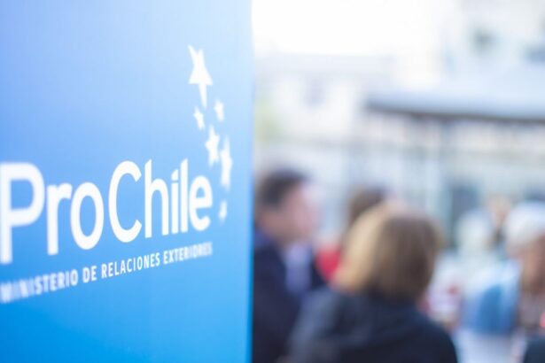 ProChile impulsa exportaciones mineras y tecnológicas para diversificar mercado internacional