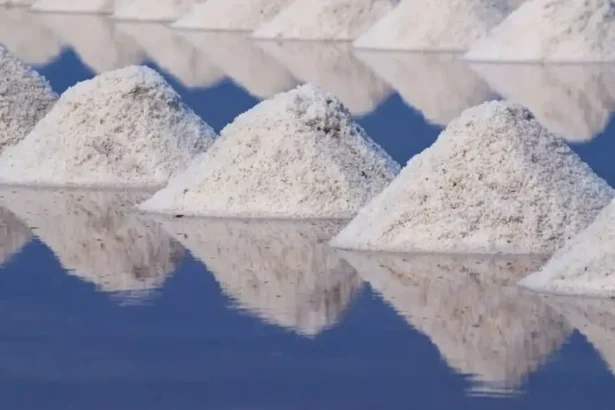 Alza de precios del litio: Proyecciones de Cochilco para 2025-2026 sorprenden