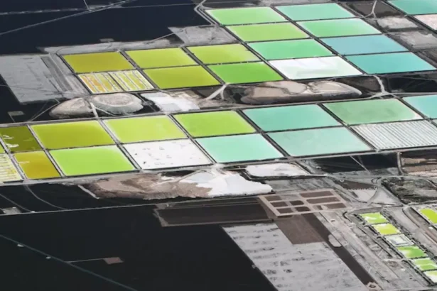 Pagos de SQM y Albemarle a Corfo se reducen en casi 50% el primer semestre de 2025