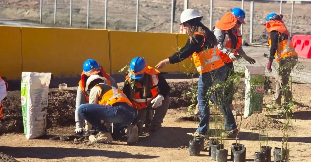 “Las Añañucas” reciben la primavera con plantación de especies autóctonas en medio del desierto