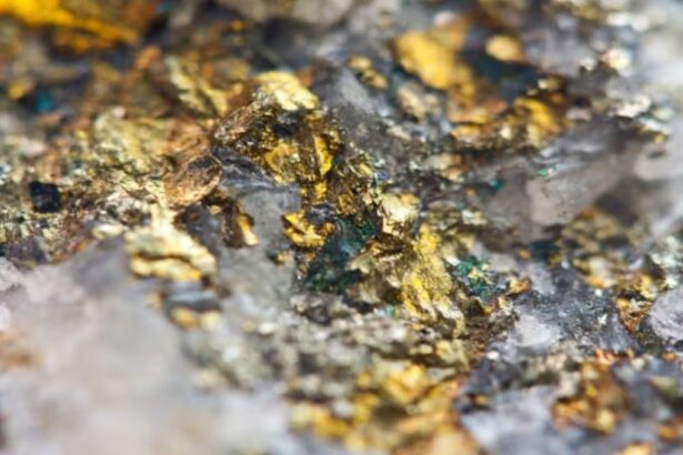 Exploits Discovery acuerda desinversión en Terranova a favor de New Found Gold