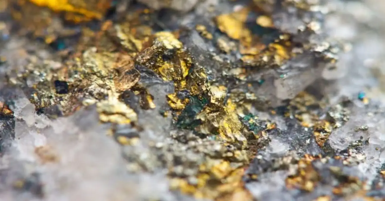 Exploits Discovery acuerda desinversión en Terranova a favor de New Found Gold