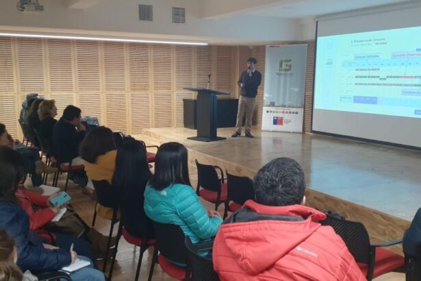 Capacitan a funcionarios públicos de Coquimbo en eficiencia energética y descarbonización