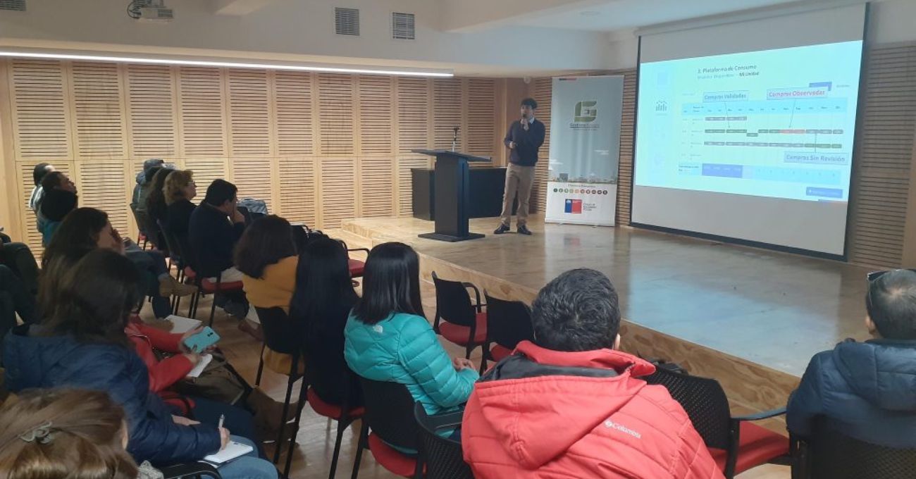 Capacitan a funcionarios públicos de Coquimbo en eficiencia energética y descarbonización