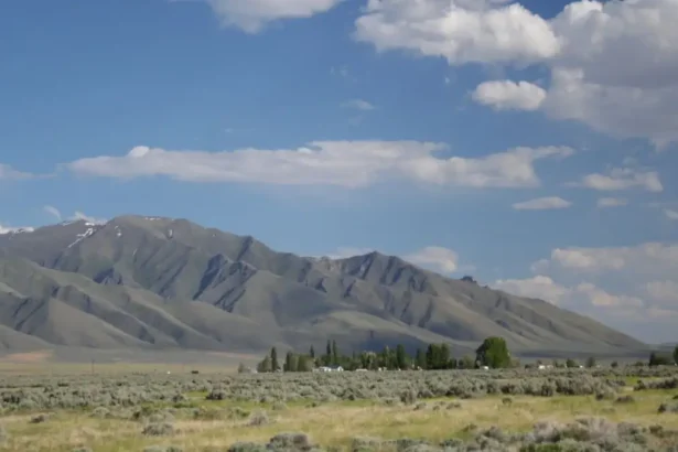 EE.UU. adquiere participación clave en Lithium Americas y Thacker Pass con GM