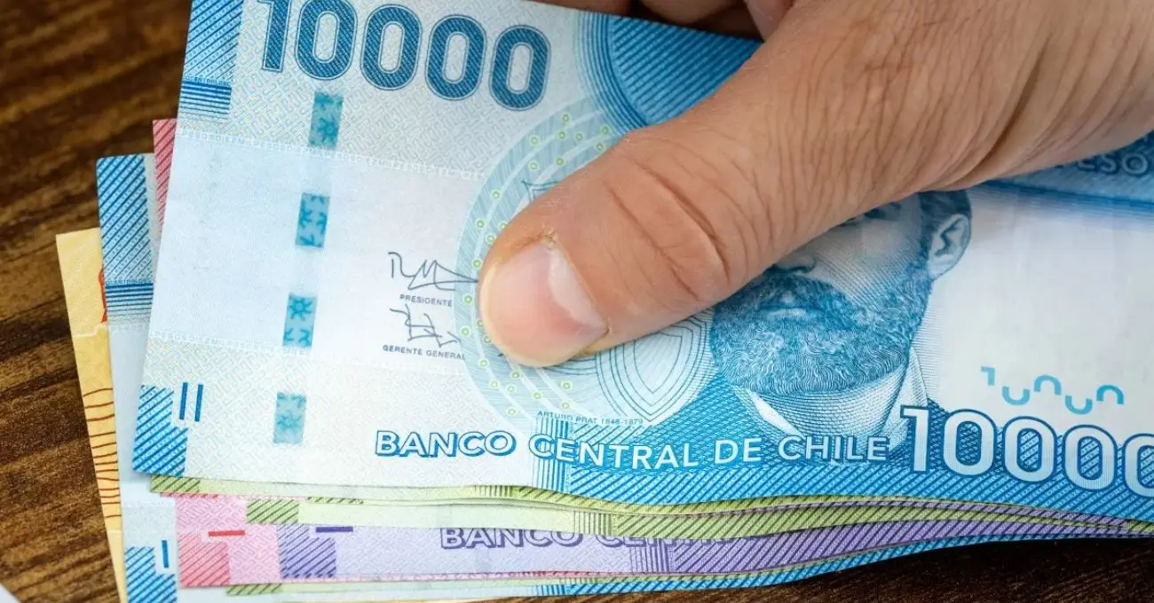 Bono de Protección: ¿Cómo acceder al beneficio para dueñas de casa y cuáles son los montos?