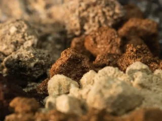 Aclara recibe US$5 millones para proyecto de tierras raras en Brasil