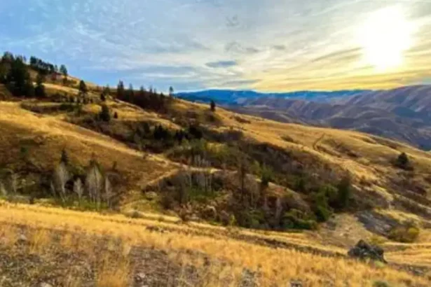 Hercules Metals intercepta 81 m de cobre en el sistema de pórfido Leviatán en Idaho