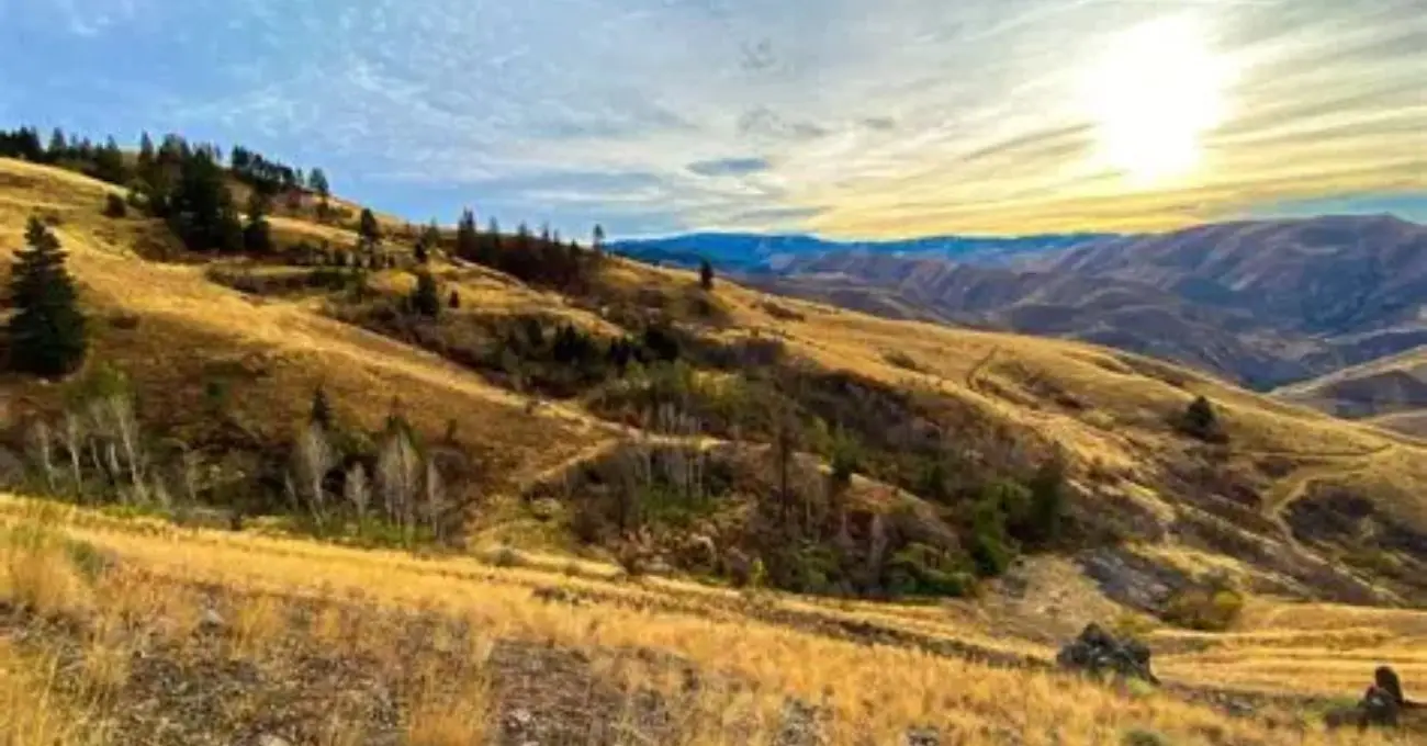 Hercules Metals intercepta 81 m de cobre en el sistema de pórfido Leviatán en Idaho