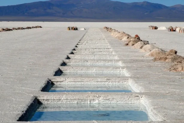 Salares Altoandinos: Gobierno espera inicio de operaciones entre 2032 y 2034