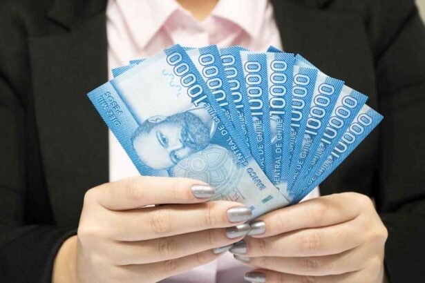 PGU: ¿Cuándo subirá a $250 mil para los pensionados mayores de 65 años?