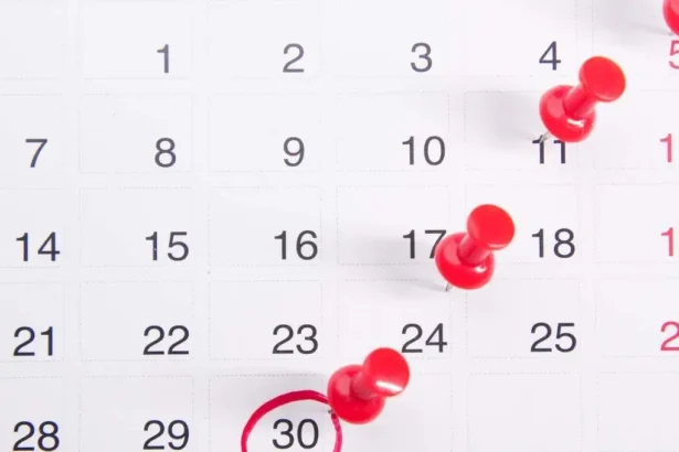 Feriados en Chile 2025: revisa el calendario completo de los días que quedan este año