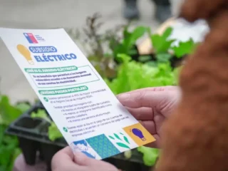 Subsidio Eléctrico: ¿Cuándo se publican los resultados de la tercera convocatoria y quiénes pueden acceder?