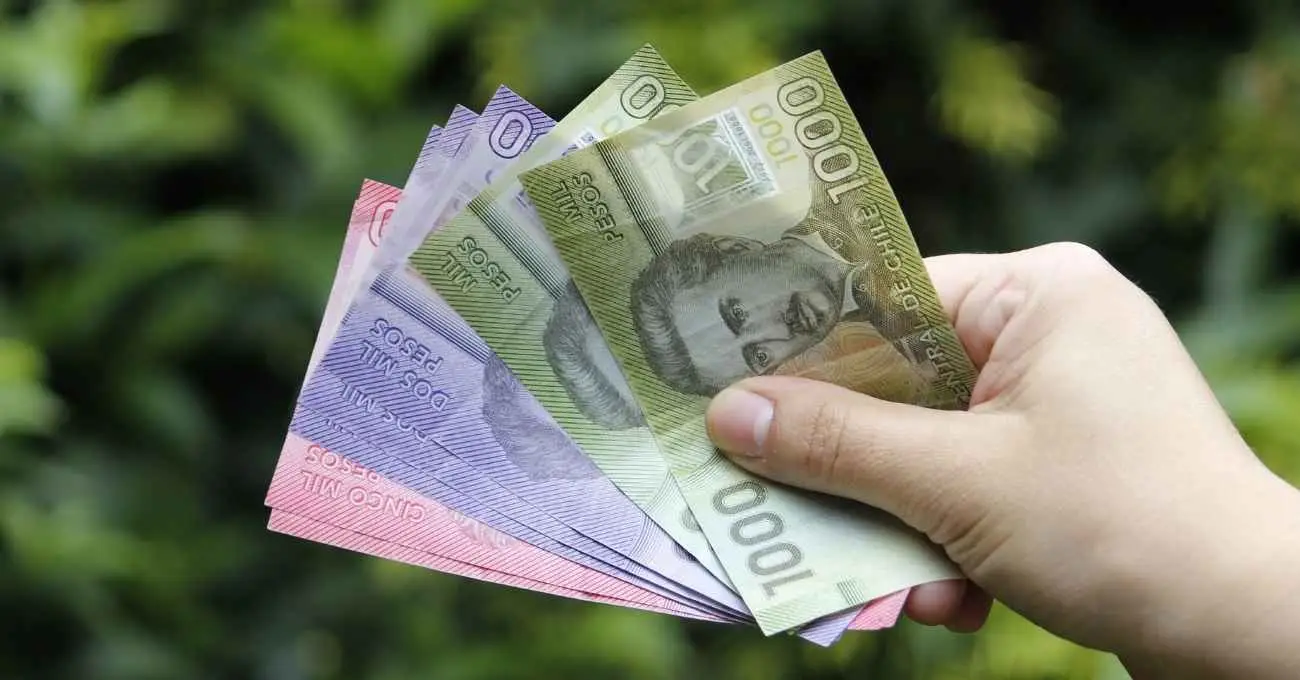 ¿Tienes 82 años o más? Así puedes acceder a la Pensión Garantizada Universal desde septiembre ¿Tienes 82 años o más? Así puedes acceder a la Pensión Garantizada Universal desde septiembre