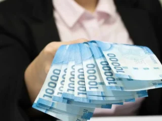 Solo con tu RUT: revisa cuándo y cómo pagará el IPS tus beneficios