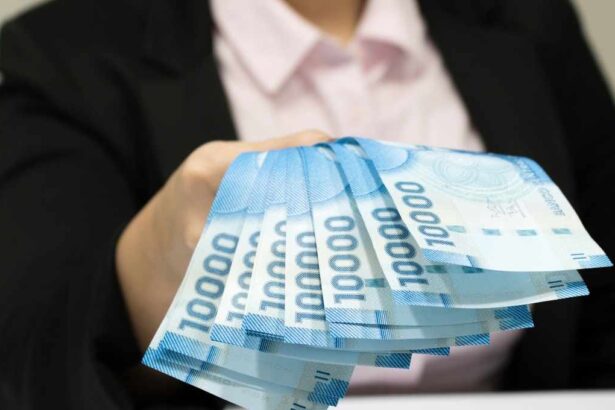 Solo con tu RUT: revisa cuándo y cómo pagará el IPS tus beneficios