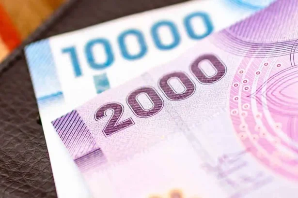 Beneficios 2025 para adultos mayores: revisa requisitos y montos actualizados disponibles