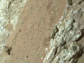 NASA detecta posibles rastros de vida en Marte
