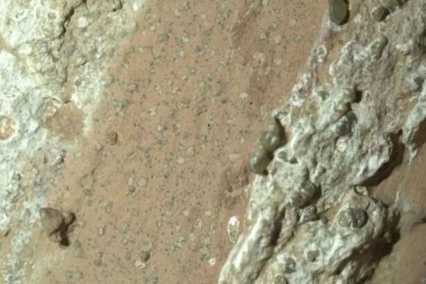 NASA detecta posibles rastros de vida en Marte