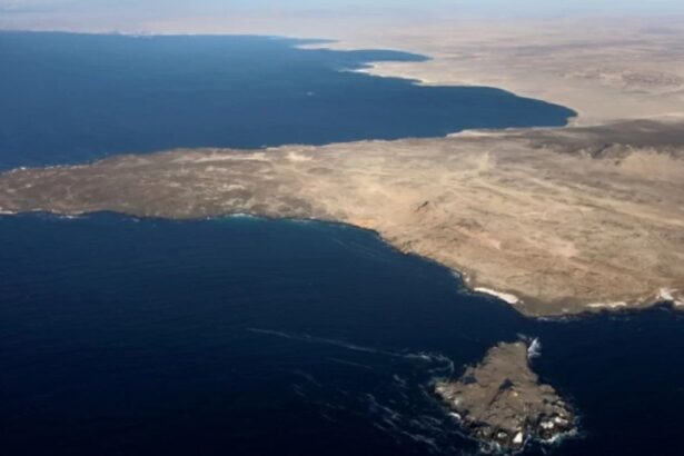 Luz verde para Copiaport-E: aprueban megaproyecto portuario en Atacama
