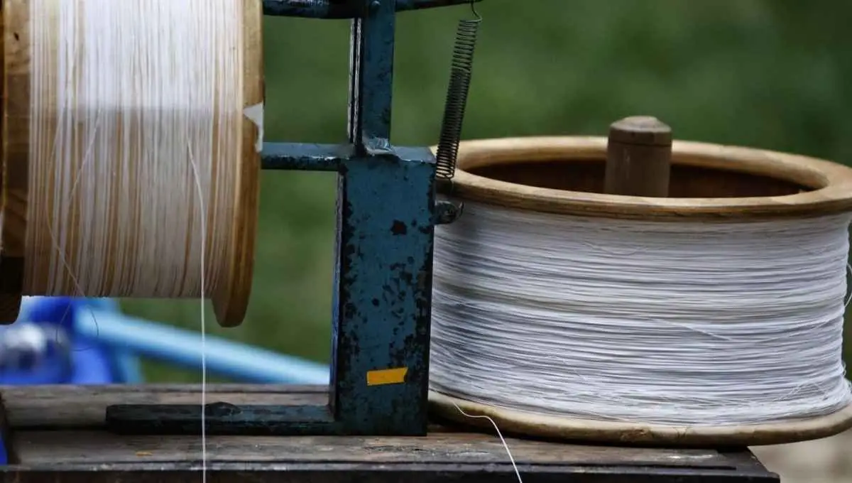 Fiestas Patrias: qué es el hilo curado y cuáles son las sanciones por usarlo