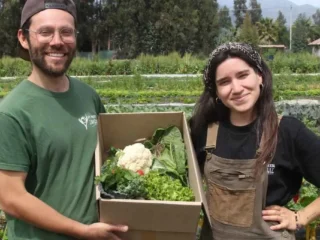 Programa ayuda a jóvenes a comprar terrenos rurales: Conoce cómo funciona el beneficio