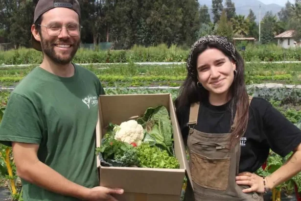 Programa ayuda a jóvenes a comprar terrenos rurales: Conoce cómo funciona el beneficio