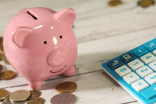 ¿Eres adulto mayor y tienes propiedades? Así es cómo puedes acceder a la rebaja en las contribuciones