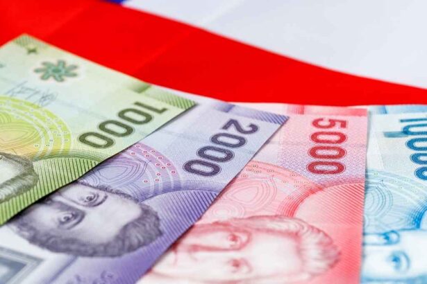 Aguinaldo de Fiestas Patrias y sube la PGU: Revisa acá si puedes acceder a todos los bonos que trae septiembre