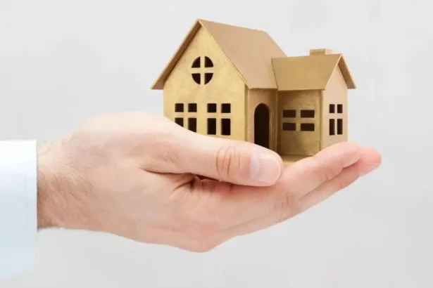 Proyectos DS19 y DS1: dónde revisar casas y departamentos disponibles para comprar con subsidio