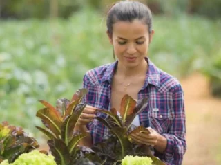 Programa ayuda a jóvenes a comprar terrenos rurales: Así funciona la iniciativa