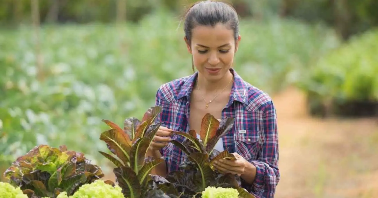Programa ayuda a jóvenes a comprar terrenos rurales: Así funciona la iniciativa